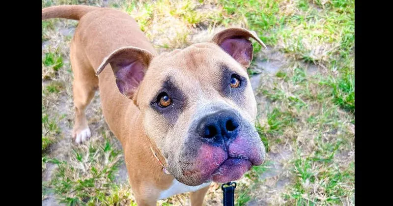 Godzilla thumbnail 6