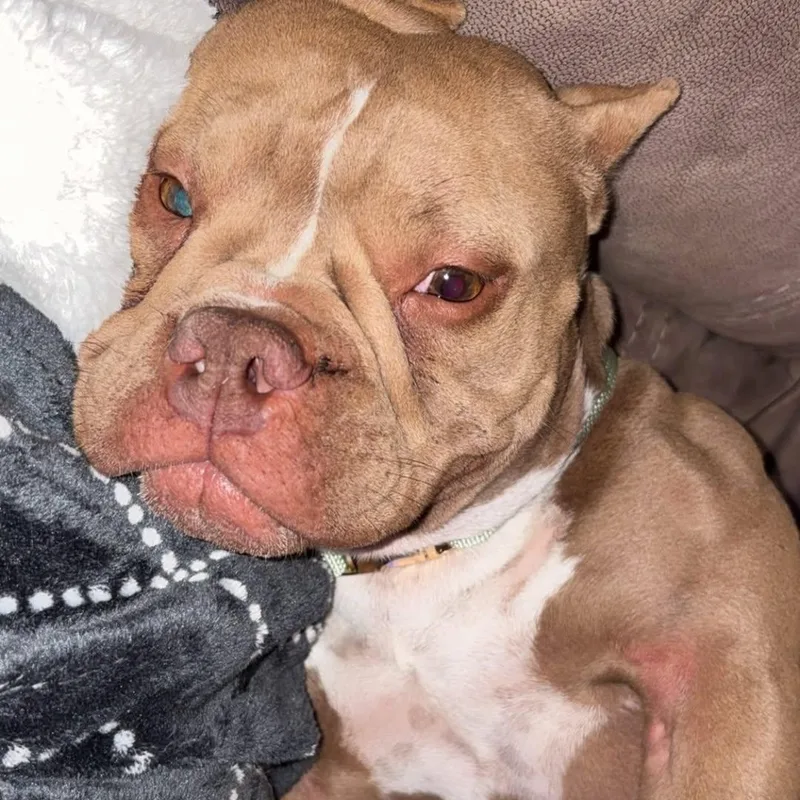 Precious thumbnail 2