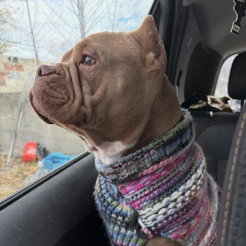 Precious thumbnail 3