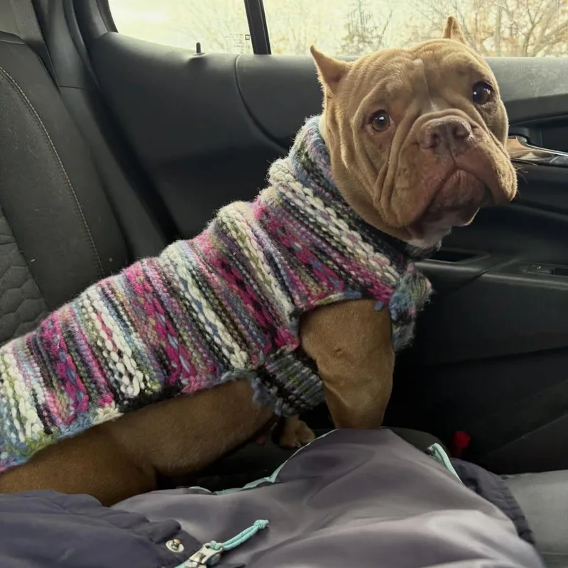 Precious thumbnail 5