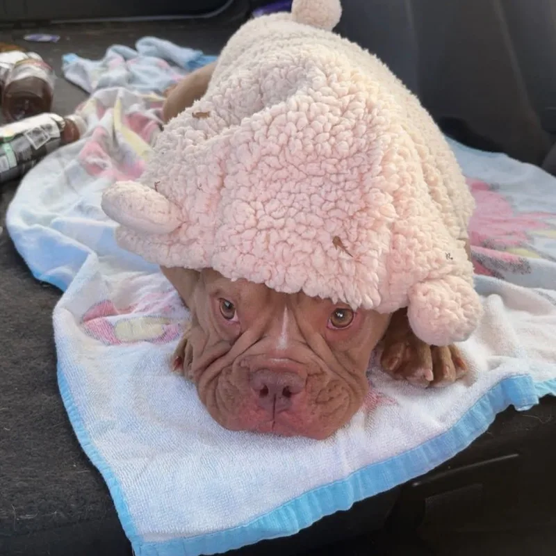 Precious thumbnail 6