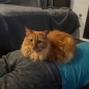 Georgia Ii thumbnail 4