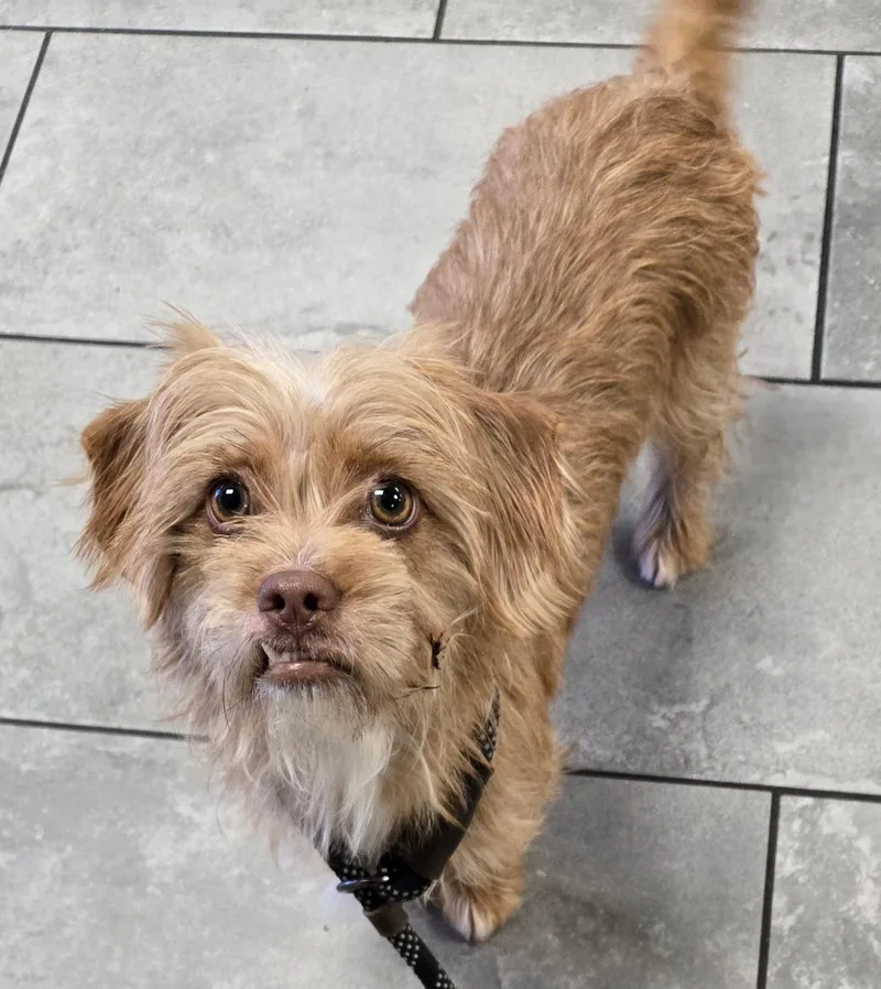 Samantha thumbnail 2