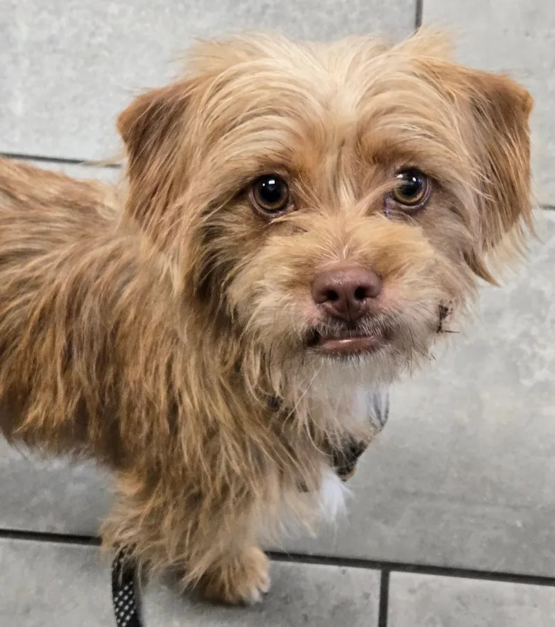 Samantha thumbnail 3