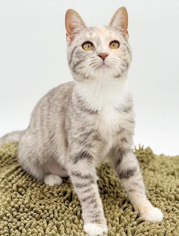 Daphne Is A Darling thumbnail 3