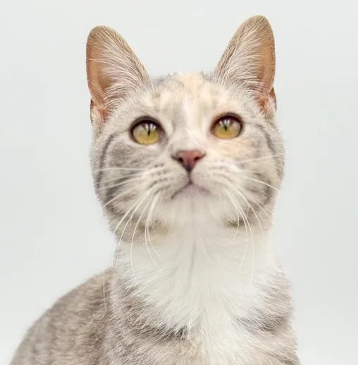 Daphne Is A Darling photo 1