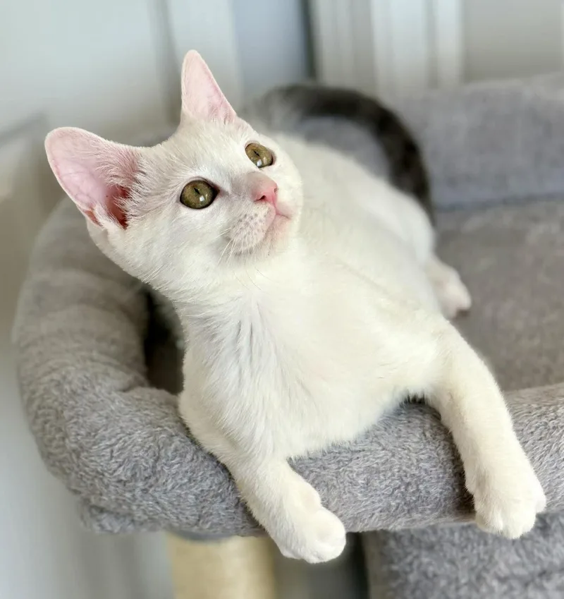 Little Girl And Sylvia! thumbnail 2