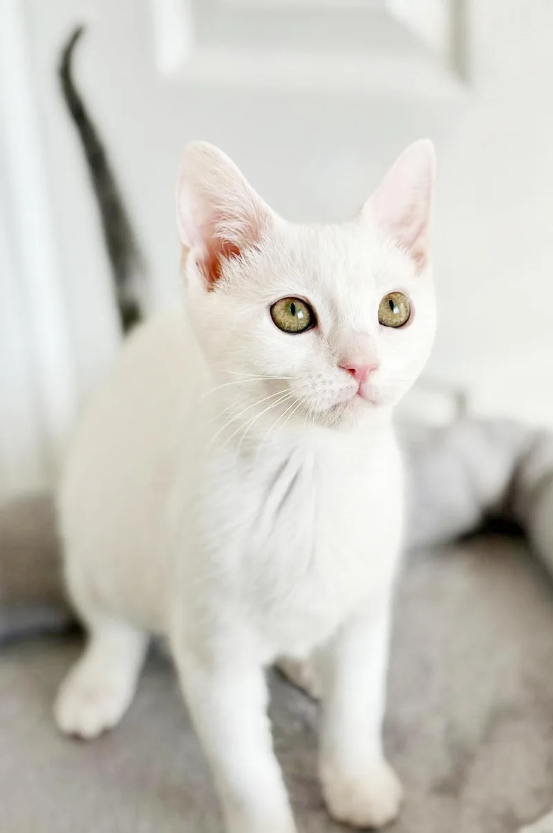 Little Girl And Sylvia! thumbnail 3