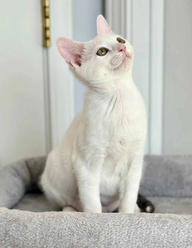 Little Girl And Sylvia! thumbnail 5