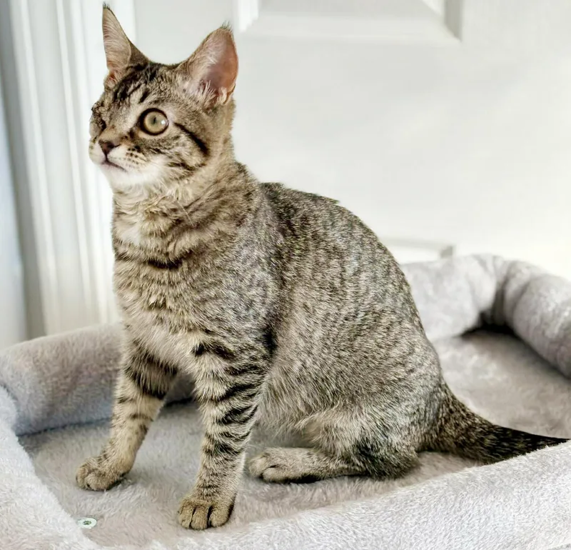 Little Girl And Sylvia! thumbnail 2