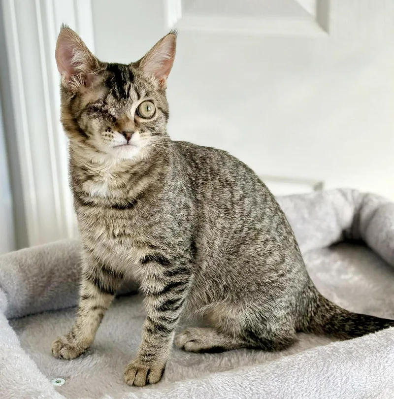 Little Girl And Sylvia! thumbnail 3