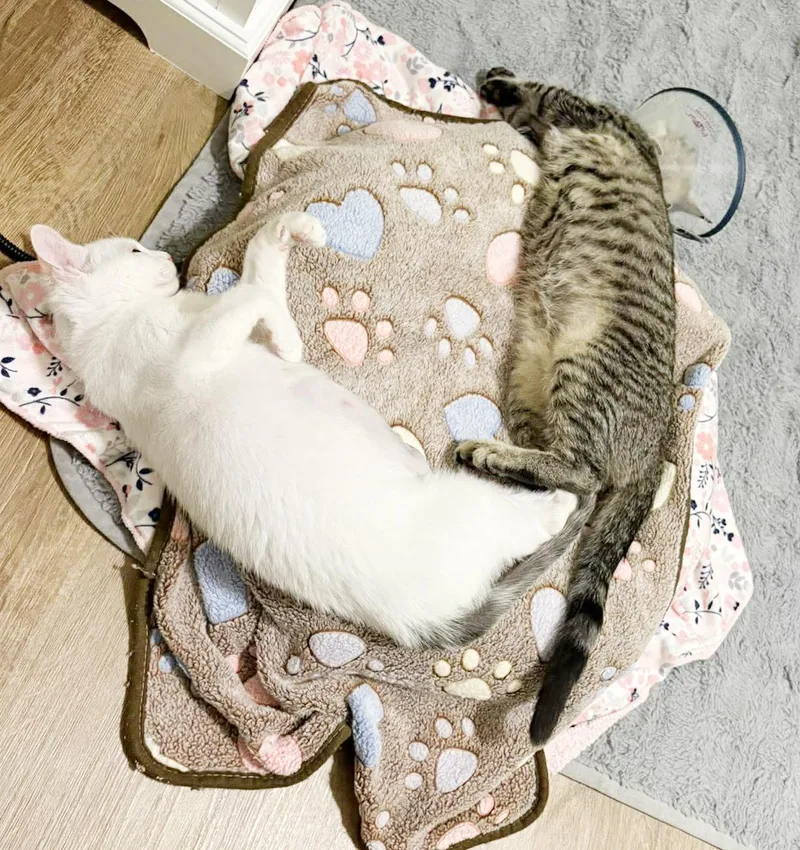 Little Girl And Sylvia! thumbnail 5