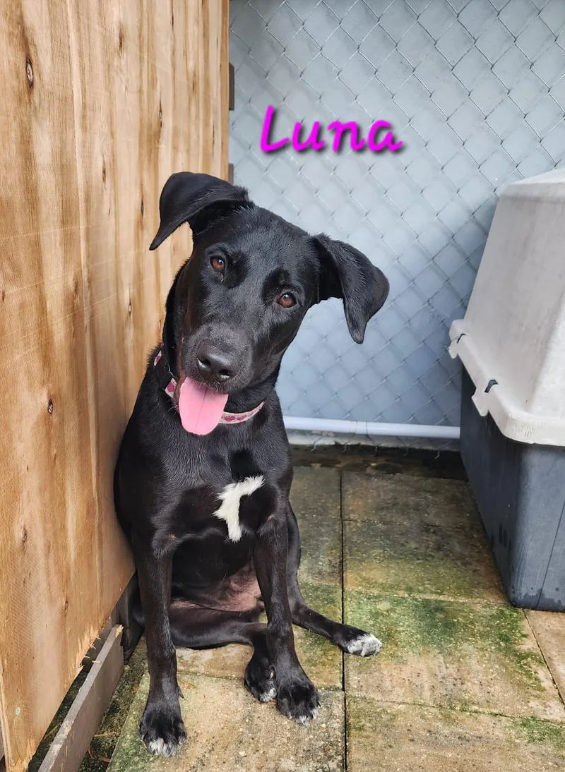 Luna