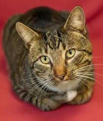 Romeo Is Ridiculously Sweet!! thumbnail 2