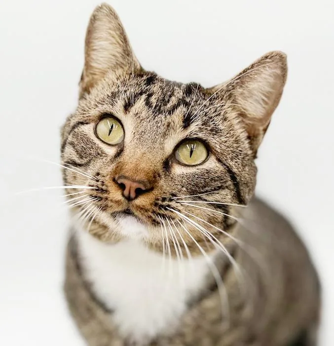 Romeo Is Ridiculously Sweet!! photo 1