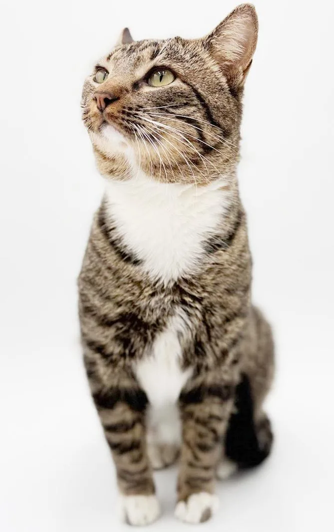 Romeo Is Ridiculously Sweet!! thumbnail 4