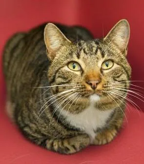 Romeo Is Ridiculously Sweet!! thumbnail 5