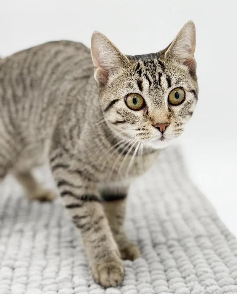 Samantha Is A Baby thumbnail 2