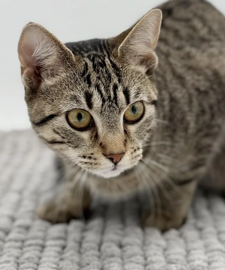 Samantha Is A Baby thumbnail 3