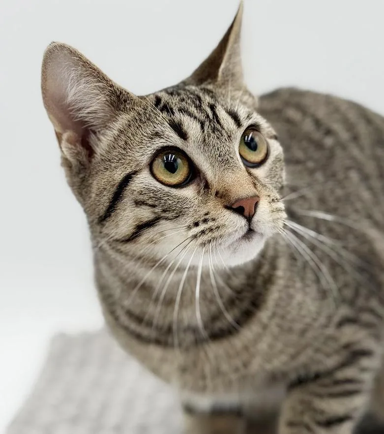 Samantha Is A Baby thumbnail 4