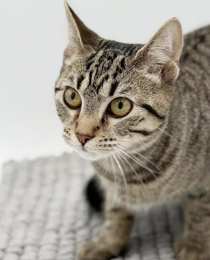 Samantha Is A Baby thumbnail 5