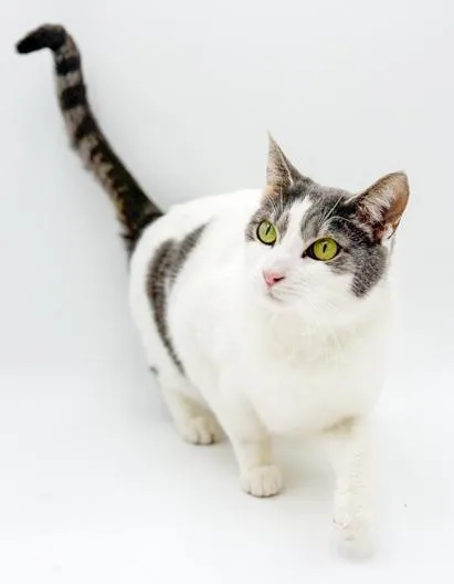 Tootsie Is Terrrific!!!!!  thumbnail 2