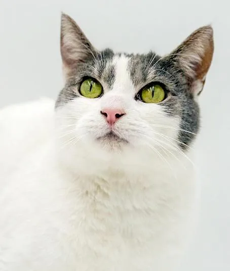 Tootsie Is Terrrific!!!!! photo 1