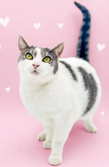 Tootsie Is Terrrific!!!!!  thumbnail 4