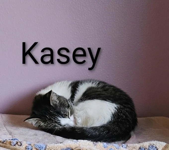 Kasey  North Conroe thumbnail 2