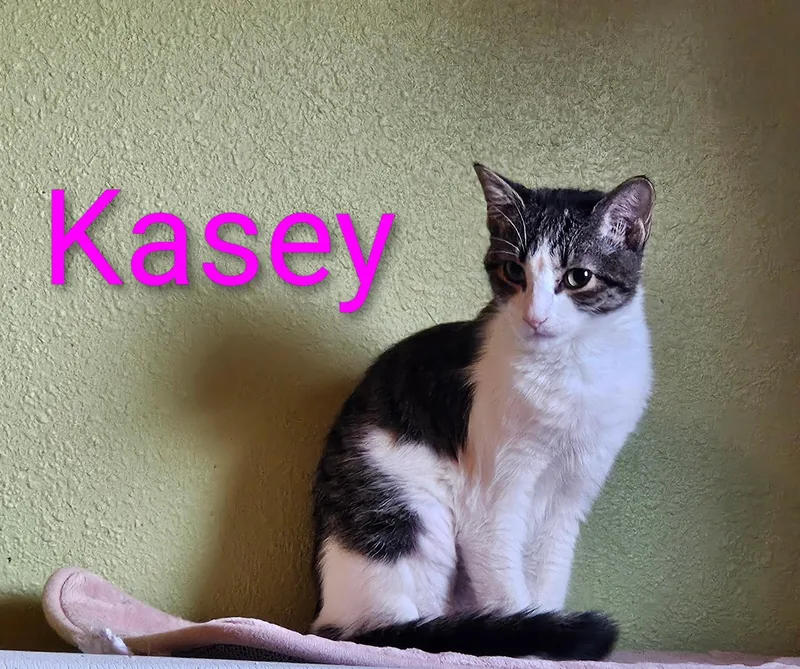 Kasey  North Conroe thumbnail 3