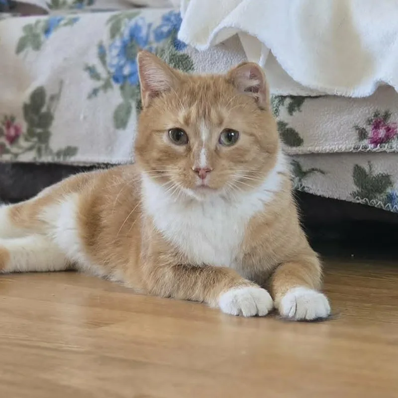 Happy Now thumbnail 2