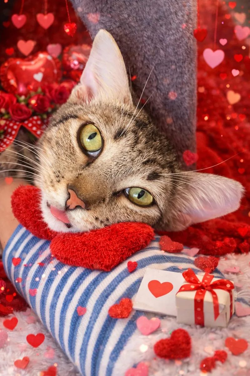 Churro Napa thumbnail 3