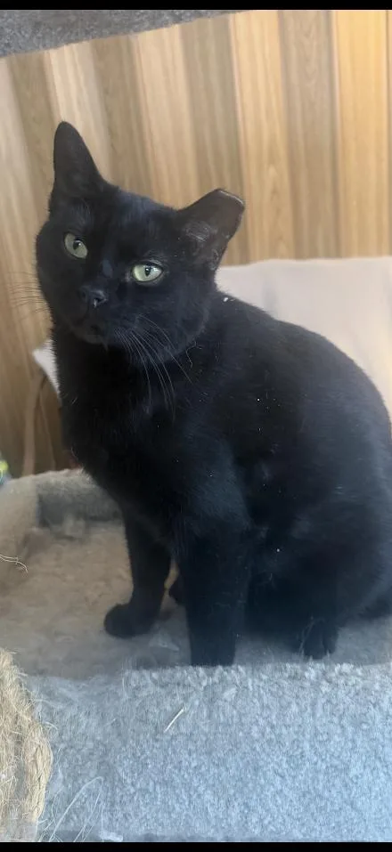 Sara & Sheila thumbnail 2