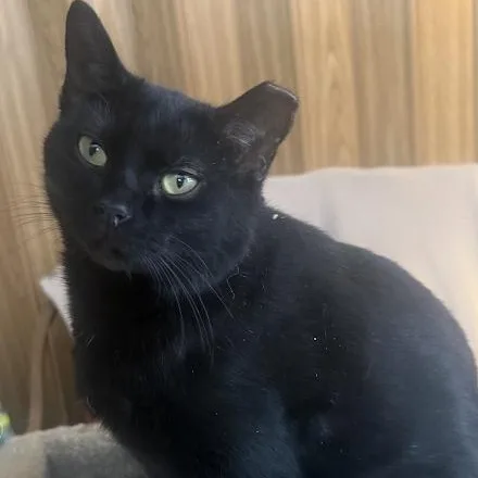 Sara & Sheila thumbnail 3