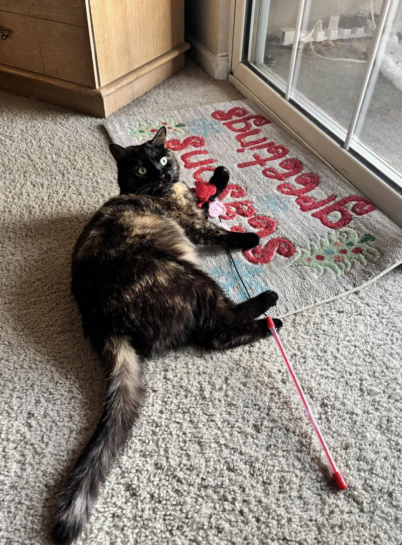 Crabapple thumbnail 2