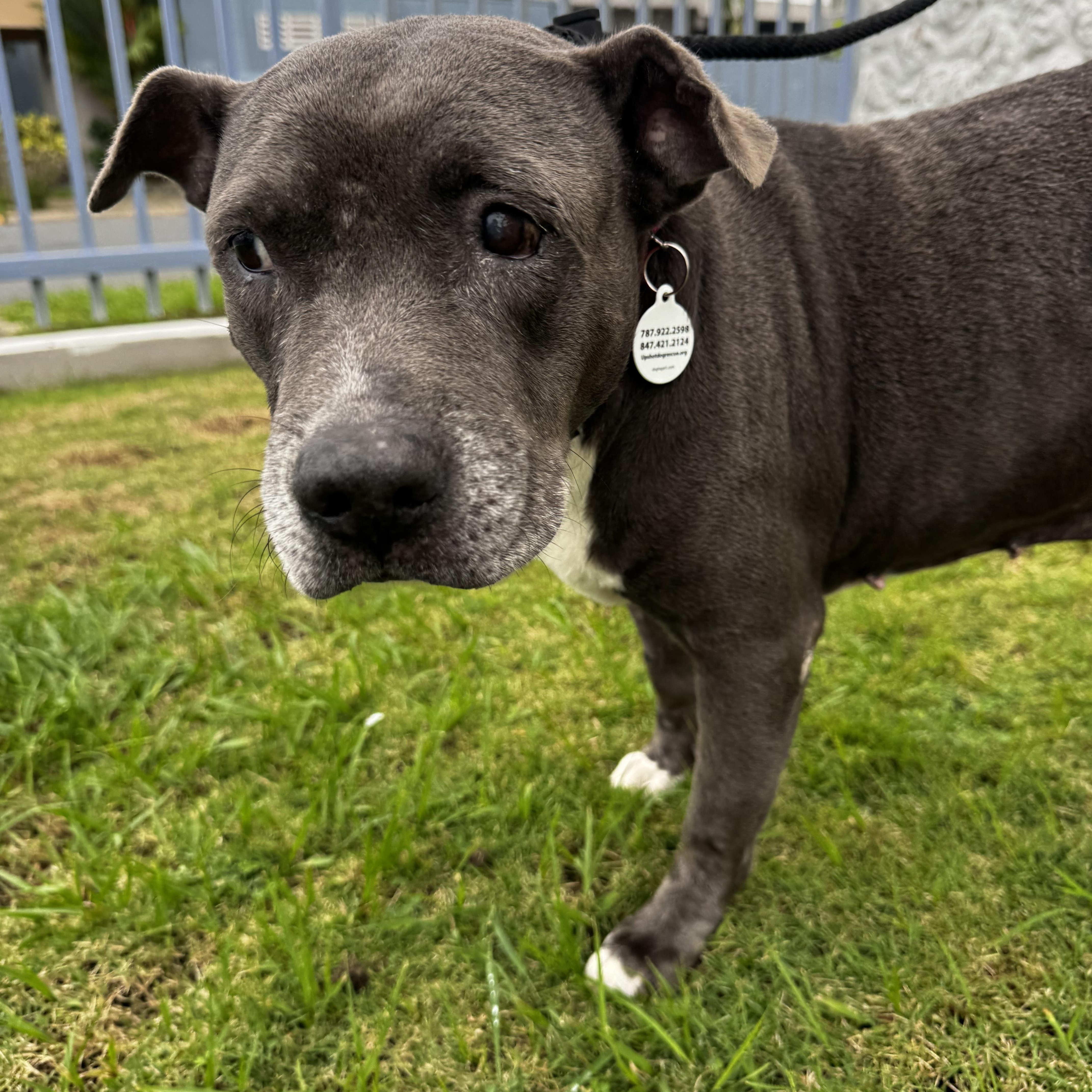 Meet Mia — The thumbnail 2