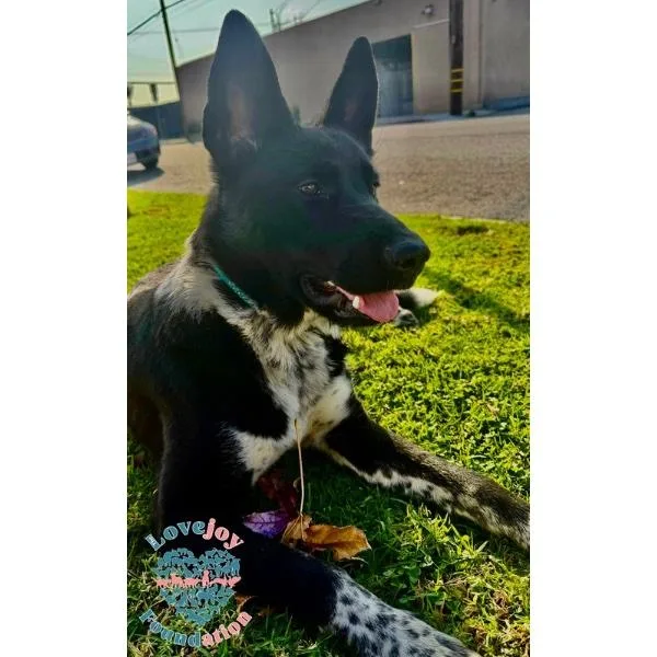 Nikita Coh thumbnail 2