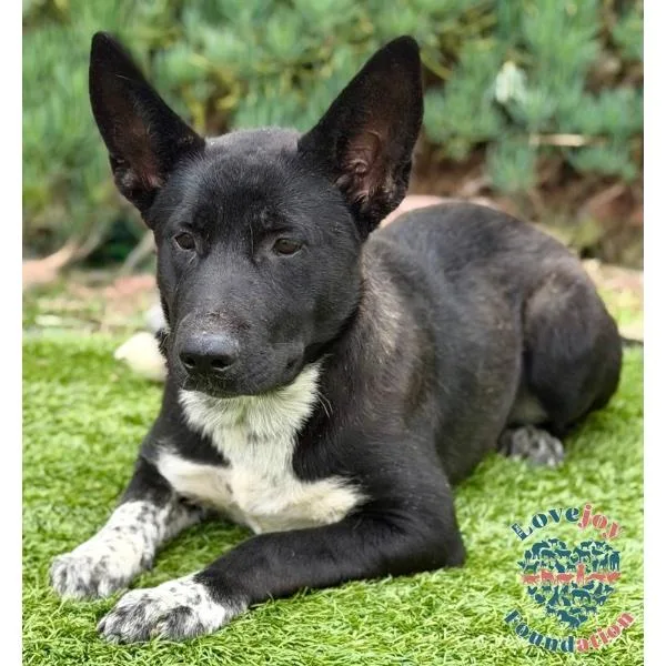 Nikita Coh thumbnail 3