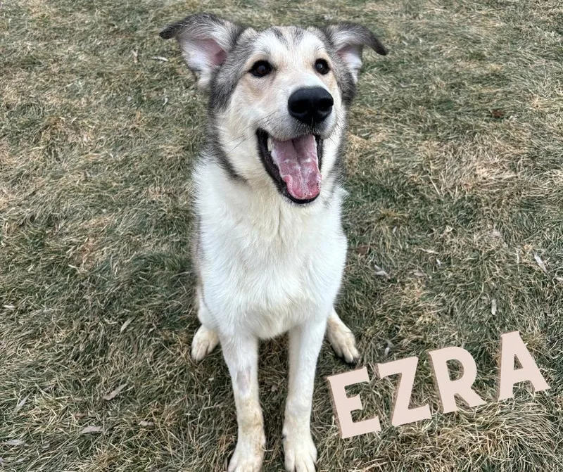Ezra