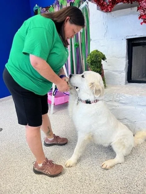 Mrs Claus thumbnail 4