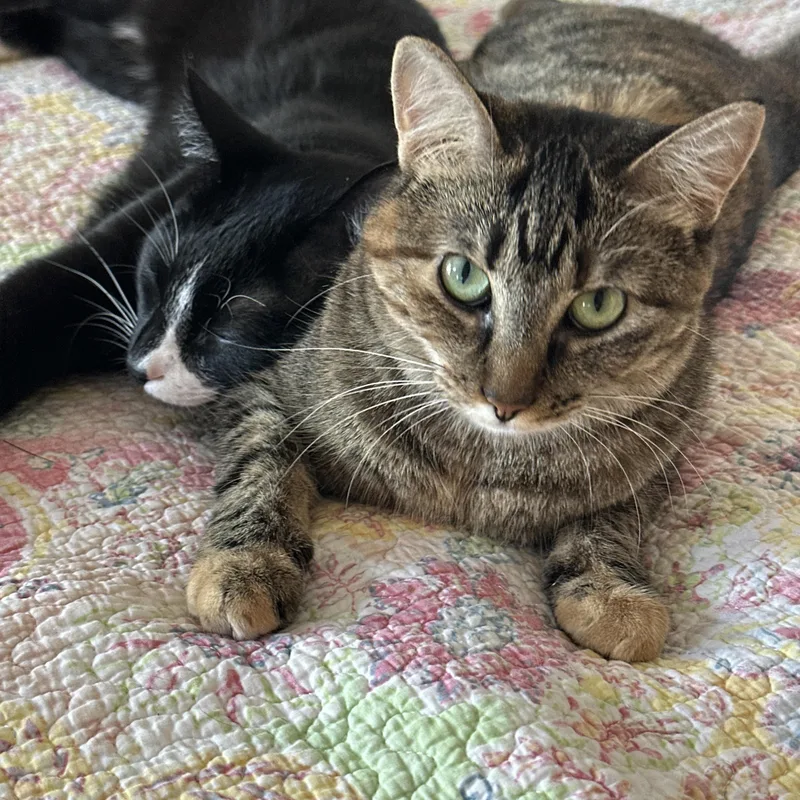 Tina & Anise thumbnail 5