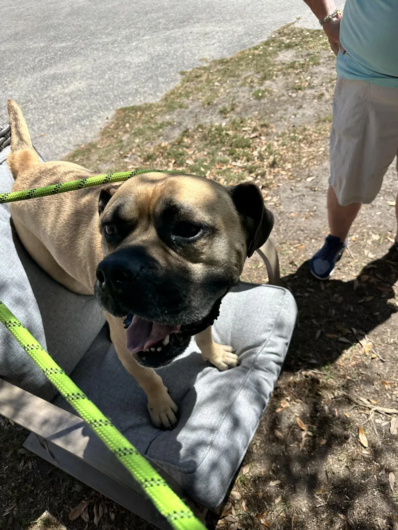 Hurricane thumbnail 2