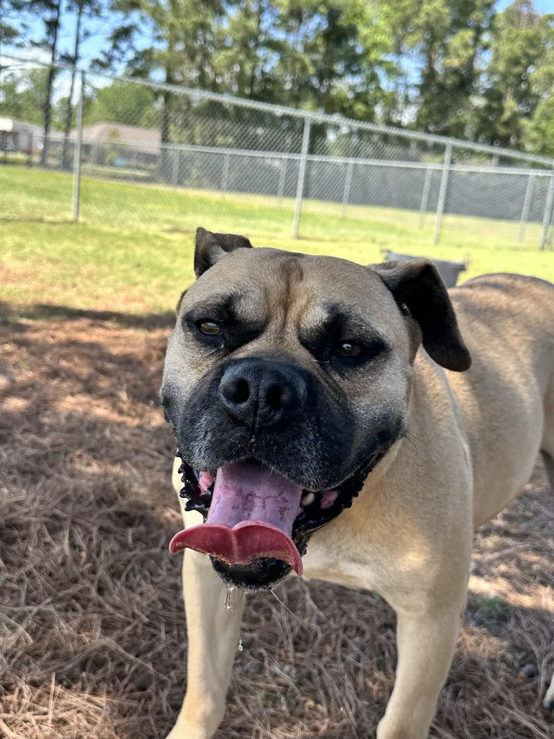 Hurricane thumbnail 3