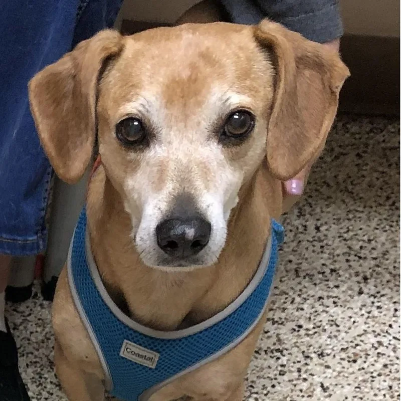 Rebecca And Solomon thumbnail 2