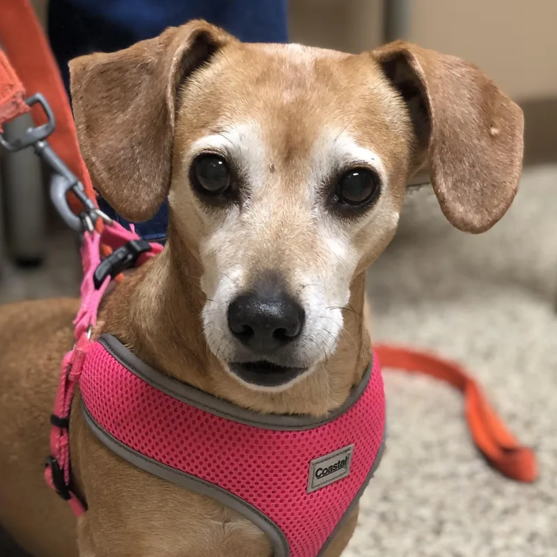 Rebecca And Solomon thumbnail 4