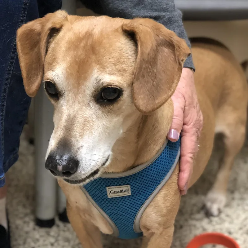 Rebecca And Solomon thumbnail 5