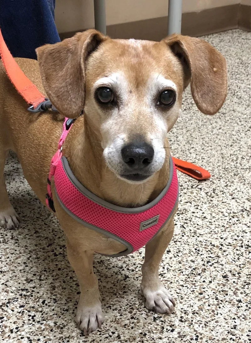 Rebecca And Solomon thumbnail 6