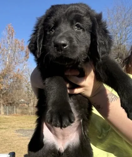 Mary Sunshine photo 1