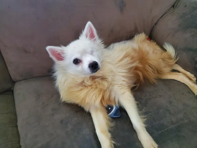 Darla  Special Needs thumbnail 2