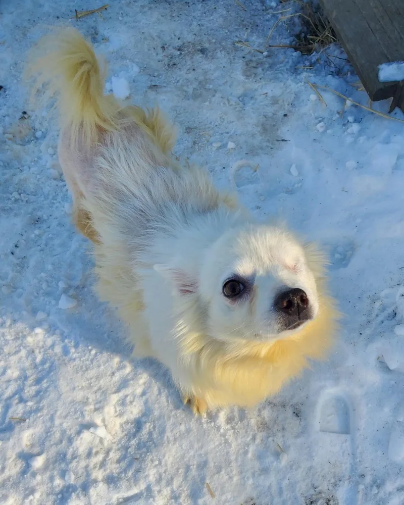 Darla  Special Needs thumbnail 3